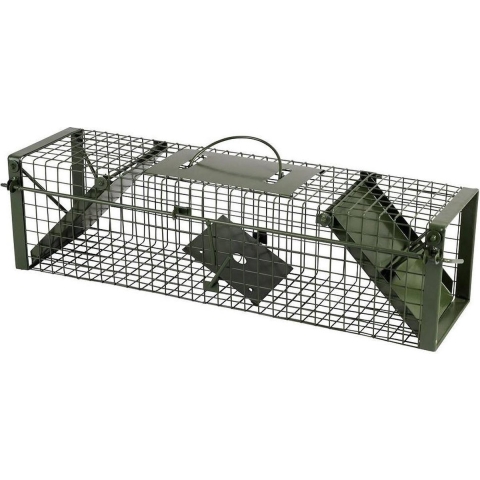 Groene ratten / wezel vangkooi