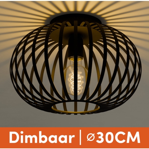 Nolt Plafondlamp Zwart - Plafonniere E27 Lamp - Industrieel - ⌀ 30cm