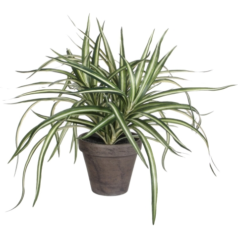 Dracaena kunstplant groen in grijze pot H34 cm x D40 cm -