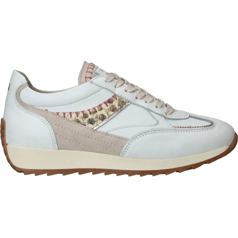 Piedi Nudi Harlem 02.09 wijdte h