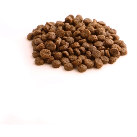Fish4Dogs Finest Puppy Large Kibble Salmon with Potato 6 kg