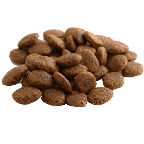 Fish4Dogs Finest Senior Large Kibble Salmon with Potato 1,5 kg