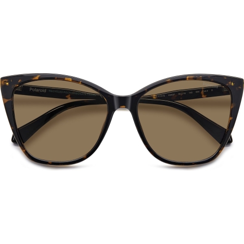Polaroid PLD 4181/S 086 SP havana brons gepolariseerde zonnebril