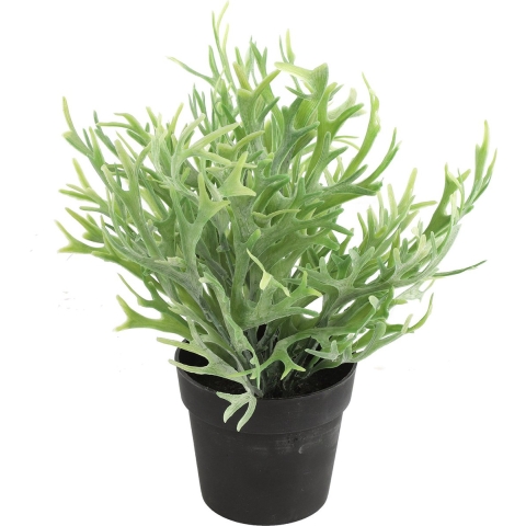 Kunstplant Platycerium in bloempot - Groen - 20 x 24 cm -