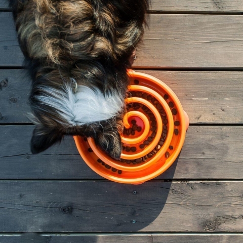 Outward Hound Dog Fun Feeder Swirl Medium Oranje 22 x 22 x 5 cm