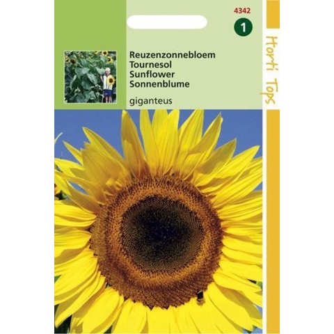 Hortitops Zonnebloemzaden - Helianthus annuus uniflorus giganteus