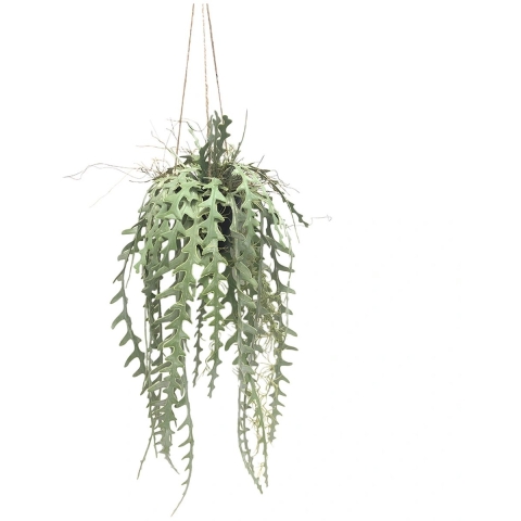 Zaagtand cactus hang 107 cm kunstplant Buitengewoon de Boet - Buitengewoon de boet