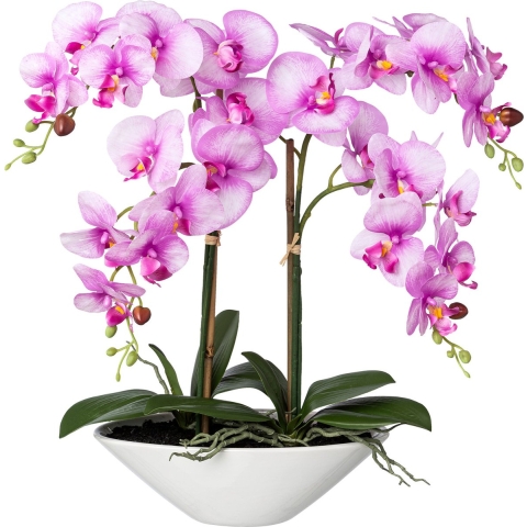Kopu ® kunstbloem orchidee 53 cm met schaal ovaal phalenopsis