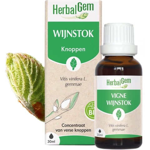 HerbalGem Wijnstok Bio | 30 ml