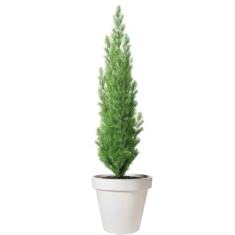 Bloempot Ek rond 50x50x44 cm cremewit Nampook - Nampook
