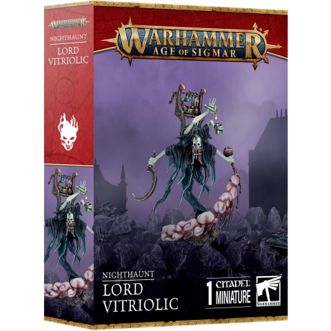 Beeldje Games Workshop Warhammer AoS - Nighthaunt Seigneur Vitriolique