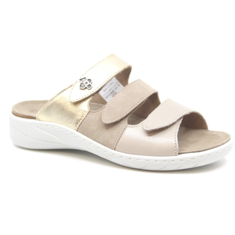 Solidus Wellness spezial