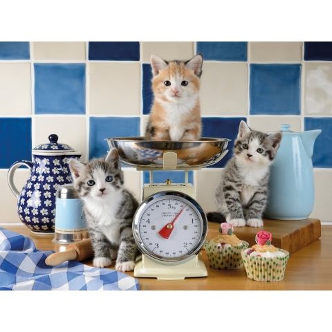Kittens in the Kitchen (1500) - Ravensburger  Legpuzzel