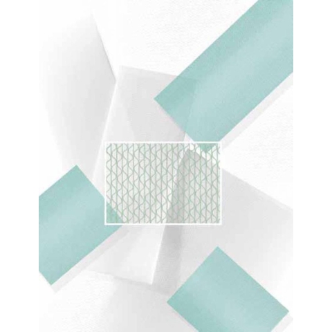 Cleanlight Reserve Filter Cleanlight Air Purifier