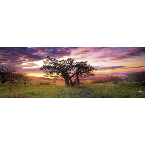 Oak Tree (2000) - Heye  Legpuzzel