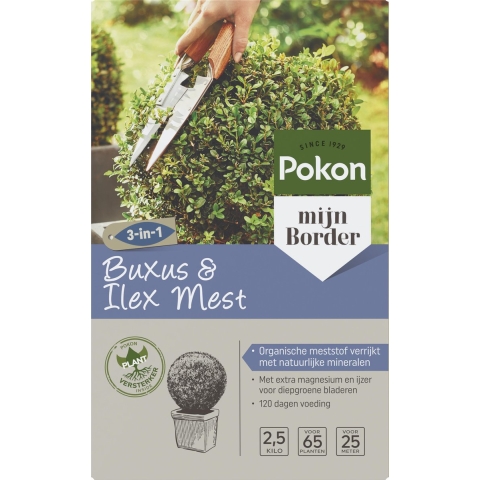 Pokon Buxus & Ilex Mest 2,5kg - 7180799100