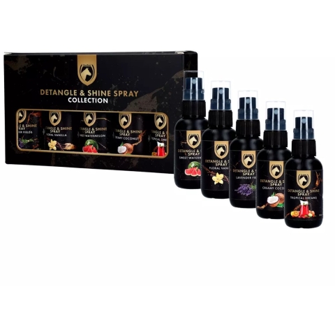 Detangle & Shine Spray Geschenkset 5 x 50 ML