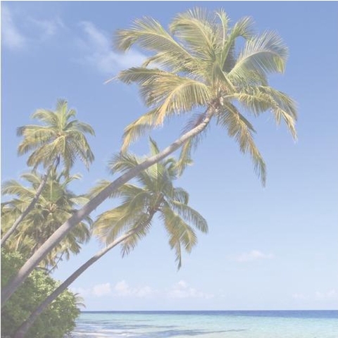 Sigel HO470 Bureau onderlegger Beach 3-jaarskalender Meerdere kleuren (b x h) 59.5 mm x 41 mm
