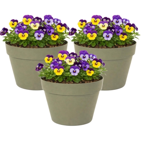 Mega Collections Plantenpot / bloempot - 3x - kunststof - olijfgroen - binnen/buiten - D26 x H22 cm -