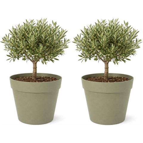Mega Collections Plantenpot / bloempot - 2x - kunststof - olijfgroen - binnen/buiten - D34 x H33 cm -