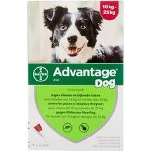 Advantage Dog 250 | 4 x 2,5 ml