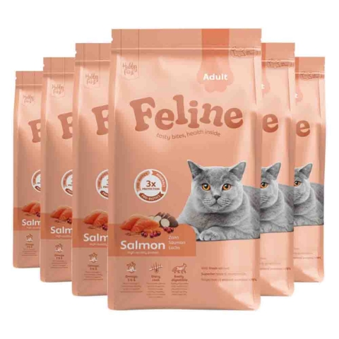 6x HobbyFirst Feline Kattenvoer Droog Adult Zalm 1,5 kg