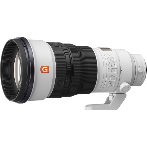 Sony FE 300mm F2.8 GM |  | 4548736156654