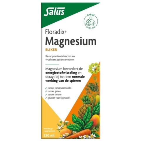 3x Floradix Magnesium 250 ml