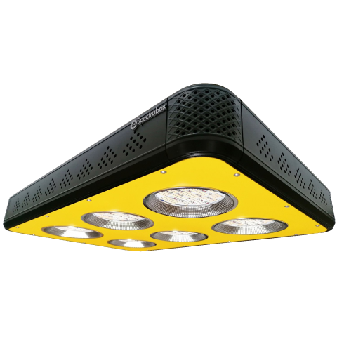 Spectrabox Spectrabox XTR2 LED
