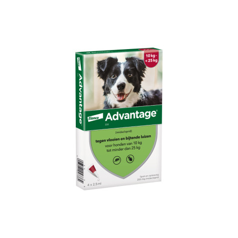 Advantage Nr. 250 vlooienmiddel (10 tot 25kg) hond 1 verpakking