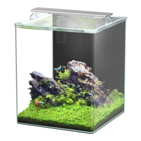 Aquatlantis kubus curve essential 65l (led biof) Smulders - Smulders
