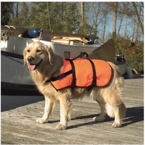 Veiligheidsvest, zwemvest - Maat XS