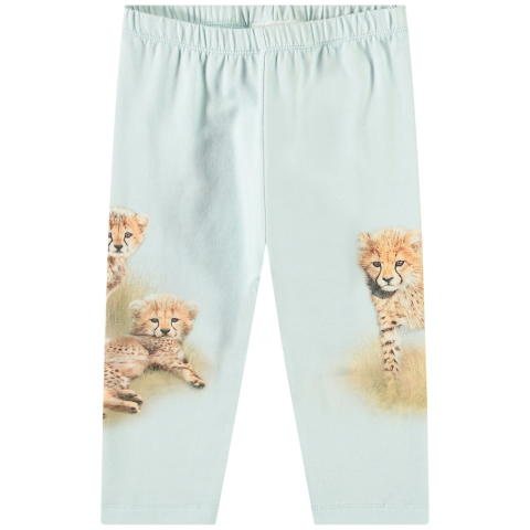 Molo Broek - Simway - Cheeta's schattig - Molo - 62 - Broeken - Katoen