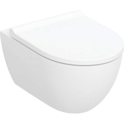 Geberit Acanto Wandclosetpack - diepspoel- turboflush 36x53cm - closetzitting - softclose - quick release - wit