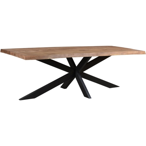 Brix eetkamertafel 200 cm mangohout