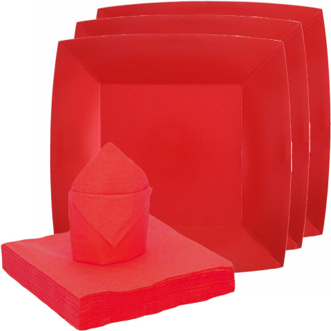Feest/verjaardag servies set 20x bordjes/25x servetten - rood - karton -