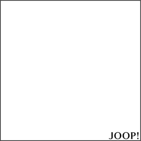 Joop Hoeslakens