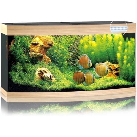 Juwel Aquarium Vision 260 Led 121x46x64 cm - Aquaria - Licht Hout