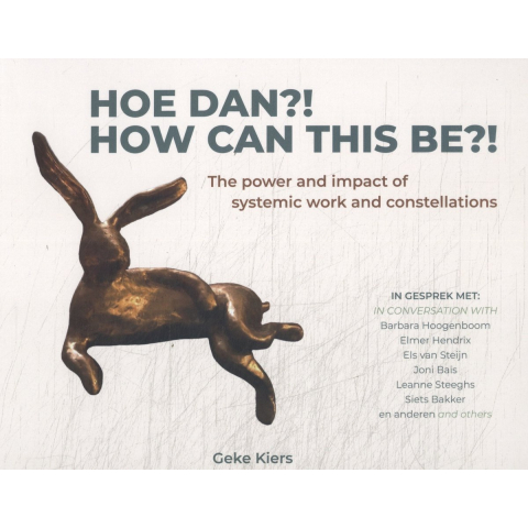 Hoe dan?! (Hardback)