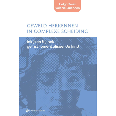 Geweld herkennen in complexe scheiding (Paperback)