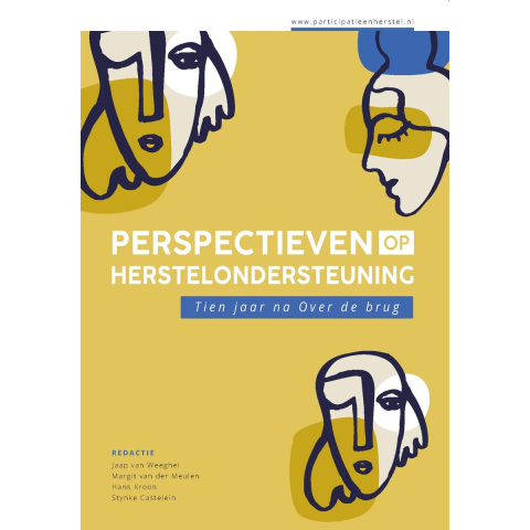 Perspectieven op herstelondersteuning (Paperback)