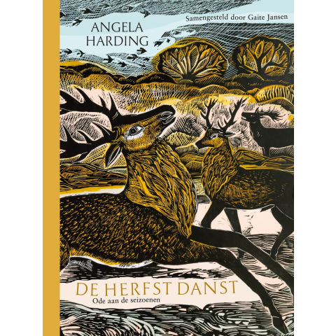De herfst danst (Hardback)