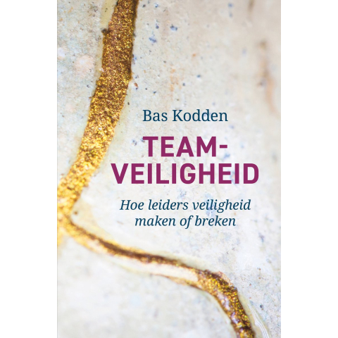 Teamveiligheid (Hardback)