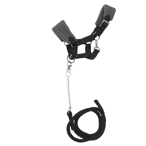 Hobby Horse - halster met halstertouw - zwart
