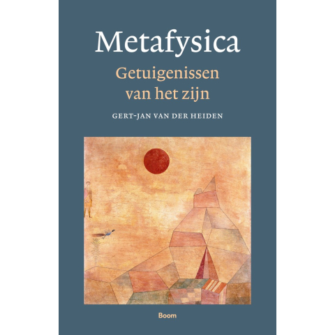 Metafysica (Paperback)