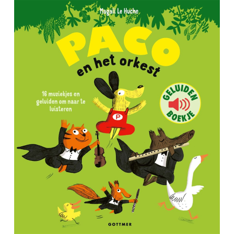 Paco en het orkest (Hardback)