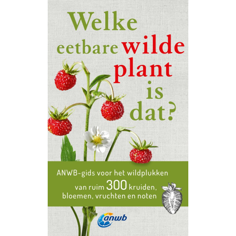 Welke eetbare wilde plant is dat? (Paperback)