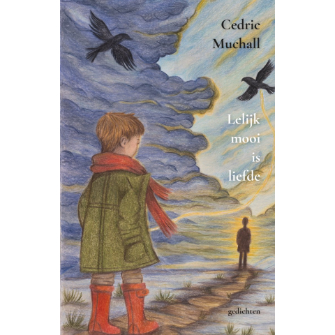 Lelijk mooi is liefde (Hardback)