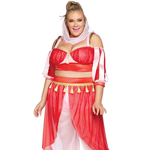 Leg Avenue Dreamy Genie Carnaval 3X-4X (Eur 54-58) Rode Roos