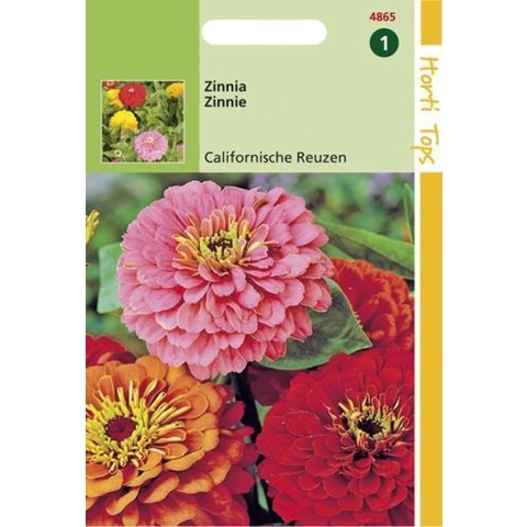 Hortitops Zaden - Zinnia Californische Reuzen gemengd
